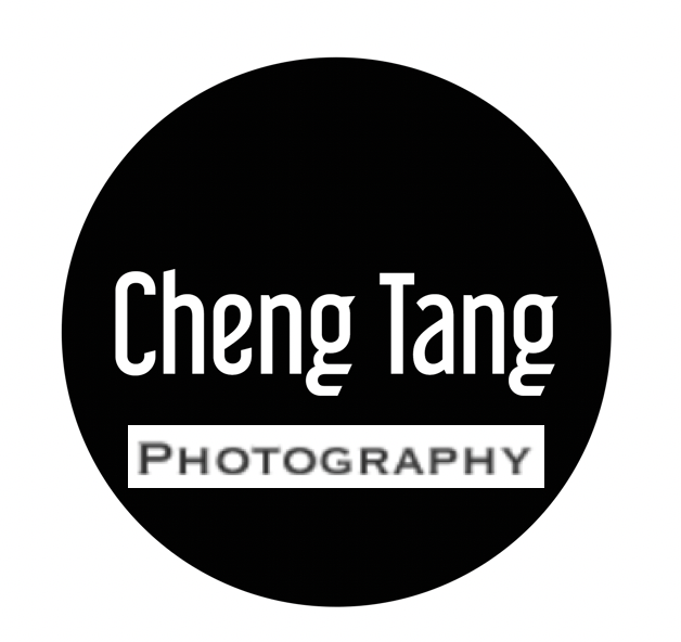 chengtang logo